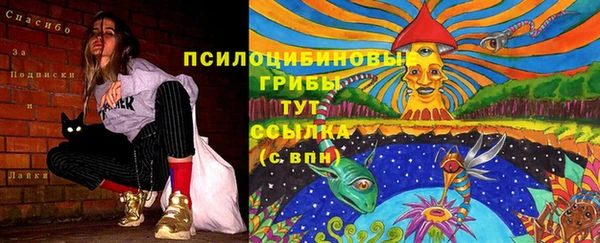 спайс Дмитровск