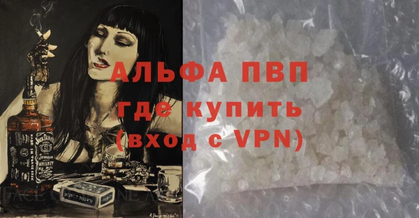 дмт Дмитриев