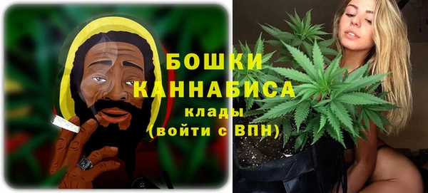 дмт Дмитриев