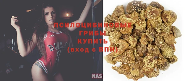 спайс Дмитровск