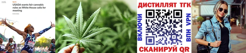ТГК концентрат Тогучин