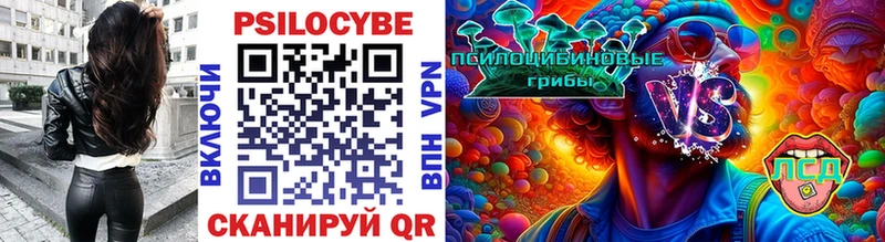 Купить закладки  Тогучин  Псилоцибиновые грибы Psilocybine cubensis 