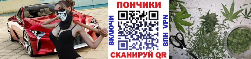 МАРИХУАНА сатива  Купить где  Тогучин 